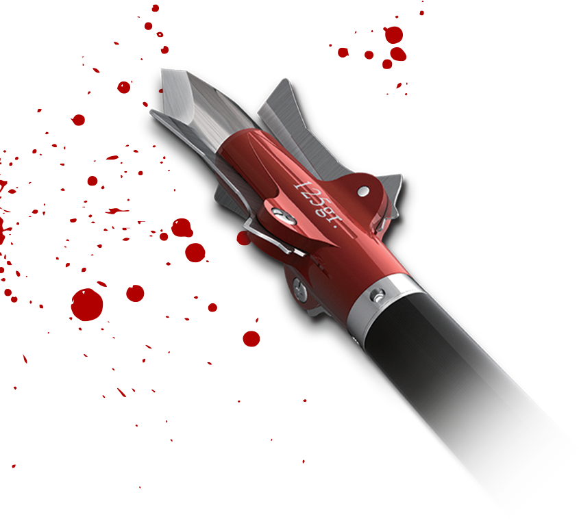 Best mechanical broadheads 125 grain broadheads REXPID